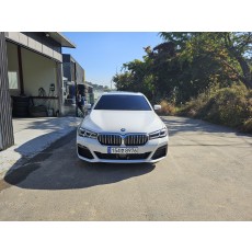 21년식 Bmw 520i