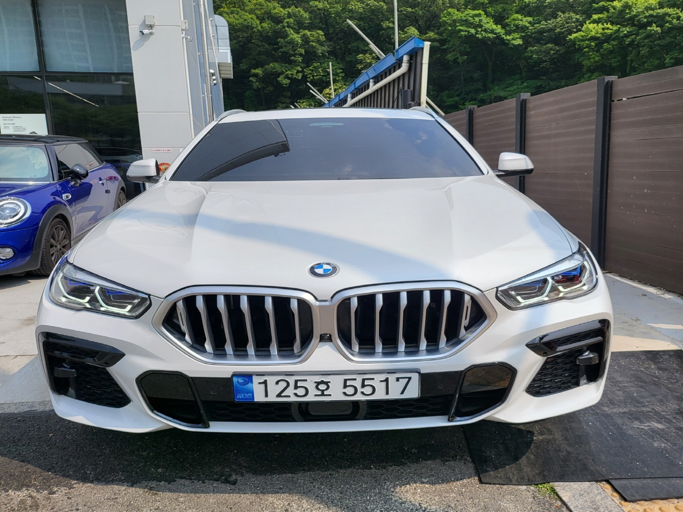 22년식 Bmw x6 30d